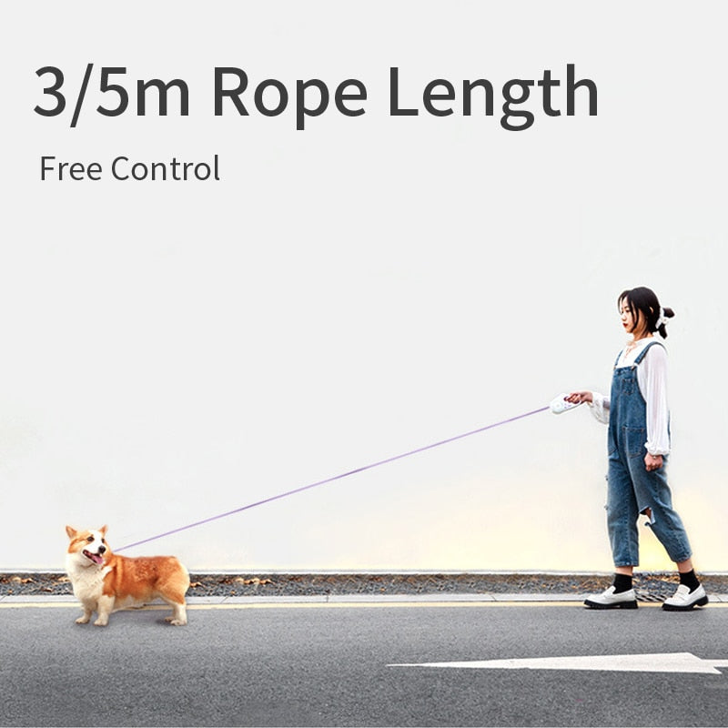 LED Retractable Dog Leash — RGB Light for Safe Night Walks
